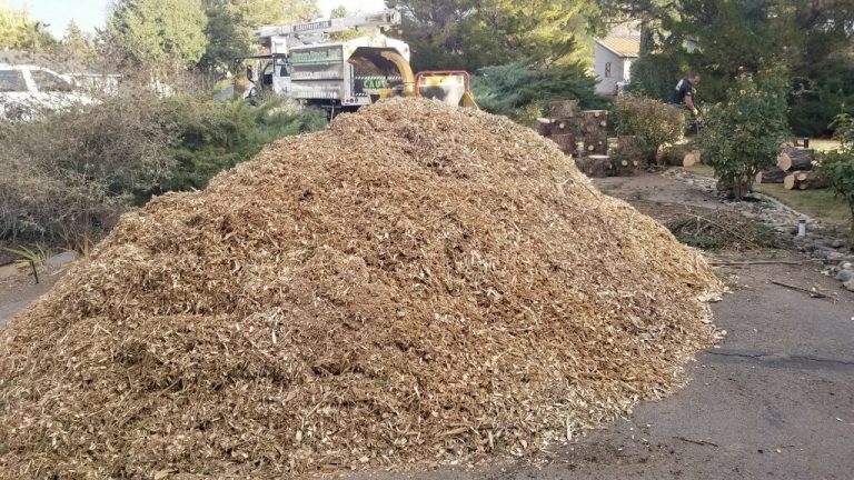 Wood Chip Delivery Near Me Reliable and Sustainable Options